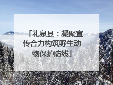 礼泉县：凝聚宣传合力构筑野生动物保护防线