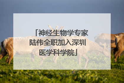 神经生物学专家陆伟全职加入深圳医学科学院