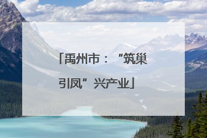 禹州市：“筑巢引凤”兴产业