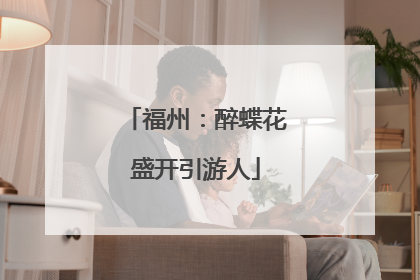 福州：醉蝶花盛开引游人