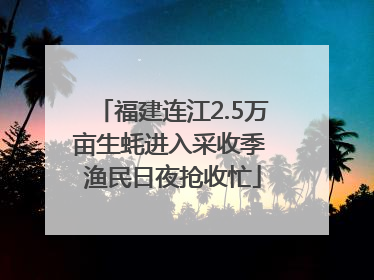 福建连江2.5万亩生蚝进入采收季 渔民日夜抢收忙