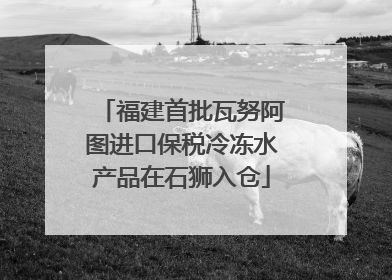 福建首批瓦努阿图进口保税冷冻水产品在石狮入仓
