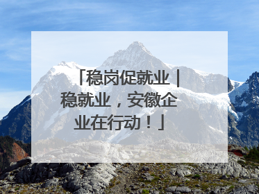 稳岗促就业｜稳就业，安徽企业在行动！