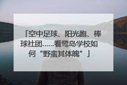 空中足球、阳光跑、棒球社团……看鹭岛学校如何“野蛮其体魄”