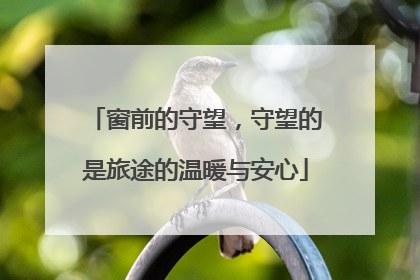 窗前的守望，守望的是旅途的温暖与安心