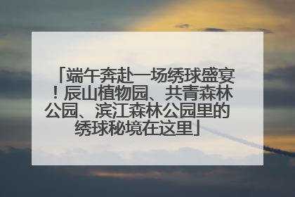 端午奔赴一场绣球盛宴！辰山植物园、共青森林公园、滨江森林公园里的绣球秘境在这里