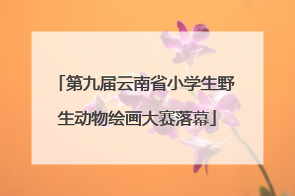 第九届云南省小学生野生动物绘画大赛落幕