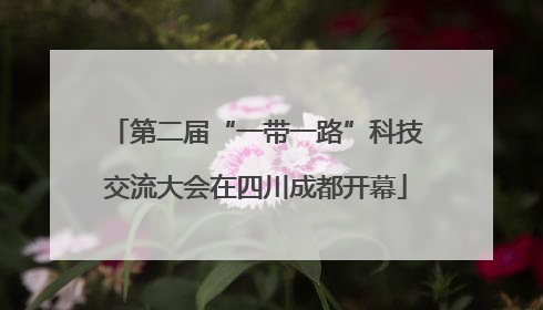 第二届“一带一路”科技交流大会在四川成都开幕