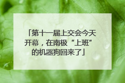 第十一届上交会今天开幕，在南极“上班”的机器狗回来了