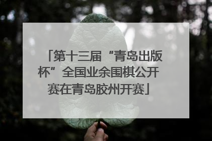 第十三届“青岛出版杯”全国业余围棋公开赛在青岛胶州开赛