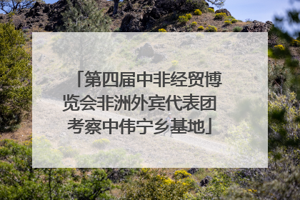 第四届中非经贸博览会非洲外宾代表团考察中伟宁乡基地