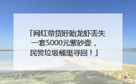 网红带货盱眙龙虾丢失一套5000元紫砂壶，民警垃圾桶里寻回！