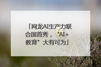 网龙AI生产力联合国首秀，“AI+教育”大有可为