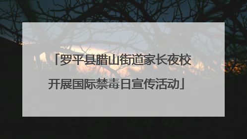 罗平县腊山街道家长夜校开展国际禁毒日宣传活动