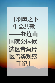羽翼之下 生命共歌——祁连山国家公园候选区青海片区鸟类观察手记