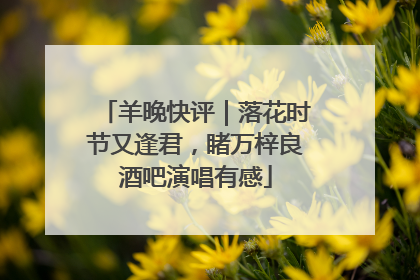 羊晚快评｜落花时节又逢君，睹万梓良酒吧演唱有感