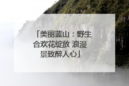 美丽蓝山：野生合欢花绽放 浪漫景致醉人心
