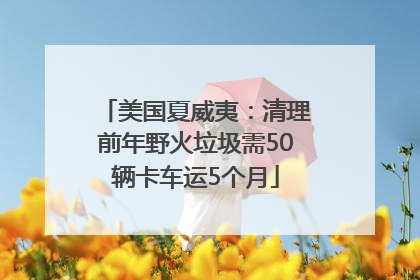 美国夏威夷：清理前年野火垃圾需50辆卡车运5个月