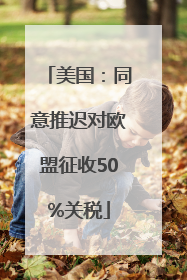 美国：同意推迟对欧盟征收50%关税