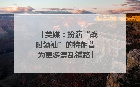 美媒：扮演“战时领袖”的特朗普为更多混乱铺路