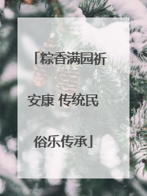 粽香满园祈安康 传统民俗乐传承