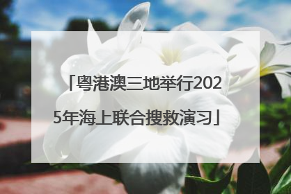 粤港澳三地举行2025年海上联合搜救演习