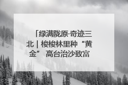 绿满陇原·奇迹三北｜梭梭林里种“黄金” 高台治沙致富很“从容”