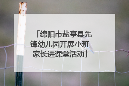 绵阳市盐亭县先锋幼儿园开展小班家长进课堂活动
