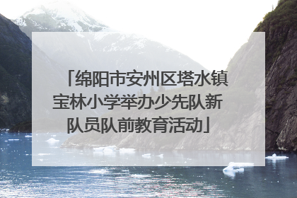 绵阳市安州区塔水镇宝林小学举办少先队新队员队前教育活动
