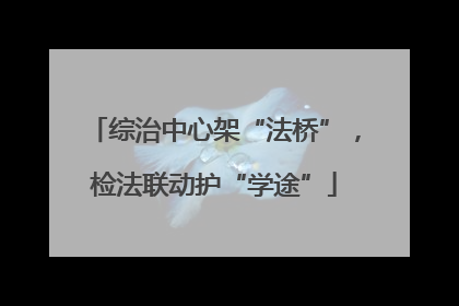 综治中心架“法桥”，检法联动护“学途”