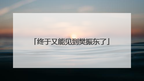 终于又能见到樊振东了