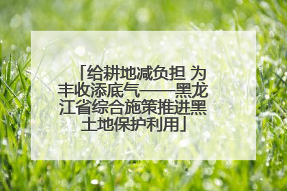 给耕地减负担 为丰收添底气——黑龙江省综合施策推进黑土地保护利用