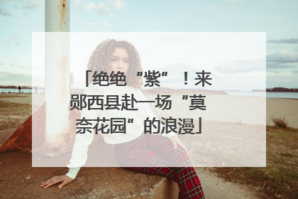 绝绝“紫”！来郧西县赴一场“莫奈花园”的浪漫