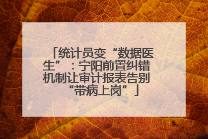 统计员变“数据医生”：宁阳前置纠错机制让审计报表告别“带病上岗”