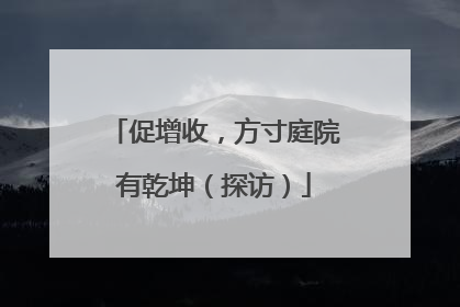 促增收，方寸庭院有乾坤（探访）