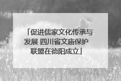 促进儒家文化传承与发展 四川省文庙保护联盟在德阳成立