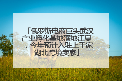 俄罗斯电商巨头武汉产业孵化基地落地江夏，今年预计入驻上千家湖北跨境卖家