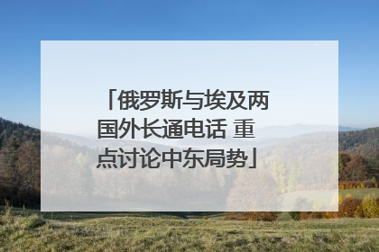 俄罗斯与埃及两国外长通电话 重点讨论中东局势