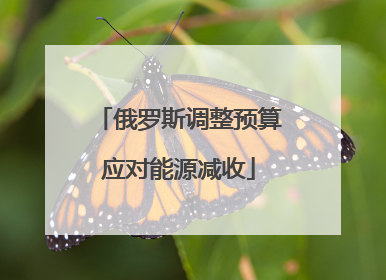 俄罗斯调整预算应对能源减收
