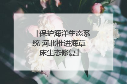 保护海洋生态系统 河北推进海草床生态修复