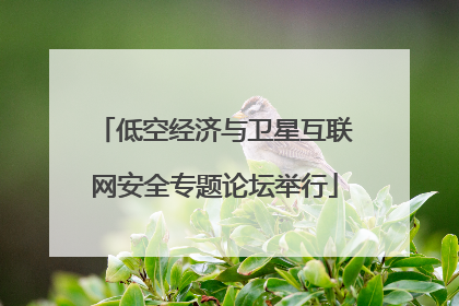低空经济与卫星互联网安全专题论坛举行