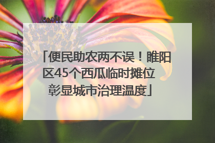 便民助农两不误！睢阳区45个西瓜临时摊位 彰显城市治理温度
