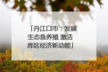 丹江口市：发展生态鱼养殖 激活库区经济新动能