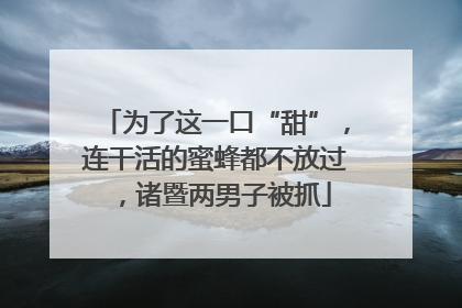 为了这一口“甜”，连干活的蜜蜂都不放过，诸暨两男子被抓