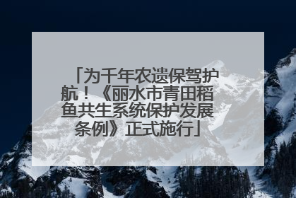 为千年农遗保驾护航！《丽水市青田稻鱼共生系统保护发展条例》正式施行