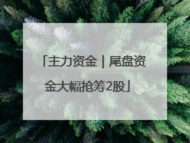 主力资金｜尾盘资金大幅抢筹2股