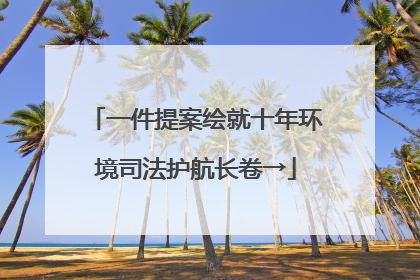 一件提案绘就十年环境司法护航长卷→