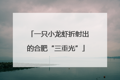 一只小龙虾折射出的合肥“三重光”