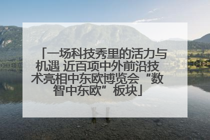 一场科技秀里的活力与机遇 近百项中外前沿技术亮相中东欧博览会“数智中东欧”板块