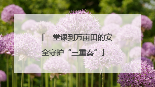 一堂课到万亩田的安全守护“三重奏”